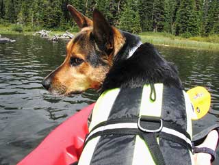 Kayaking with Asha and Moe